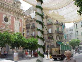 Plaza del Salvador.-
