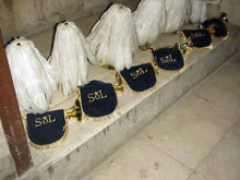 Penachos y cascos de la Banda del Sol