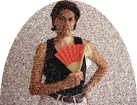 Copy of ABANICOVARILLAS.gif (31008 bytes)