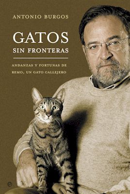 gatos_sin_portada.jpg