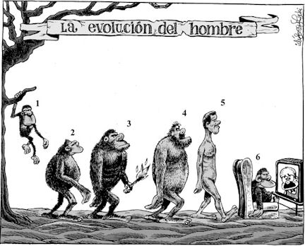 Los monos del Zoo de Jerez, vistos por Idgoras y Pachi