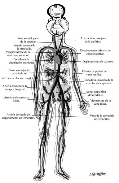 Dibujo de Idigoras y Pachi